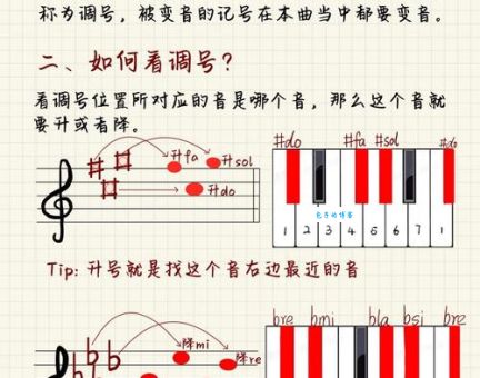 钢琴的黑白键宽度一样吗 解答常见钢琴疑问