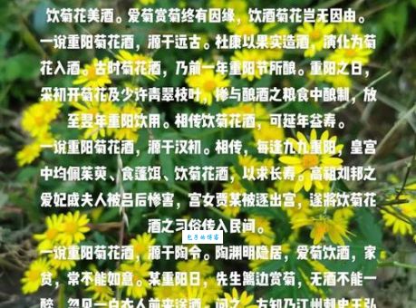 重阳节为什么要吃重阳糕饮菊花酒