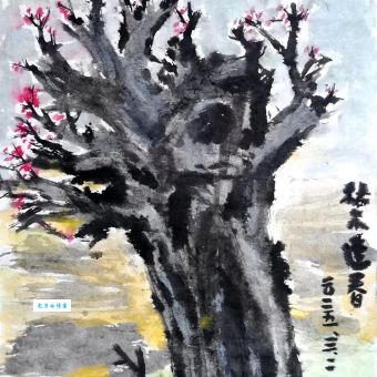 枯木逢春打一个生肖你猜对了吗