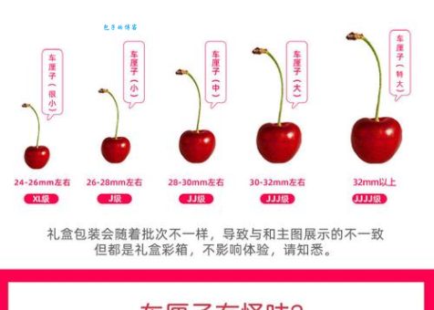 车厘子等级划分从颜色到大小全解析