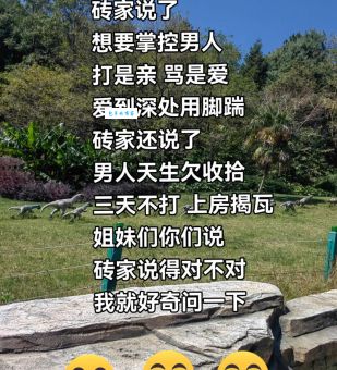 不懂敲门砖的意思 难怪你在职场混不开