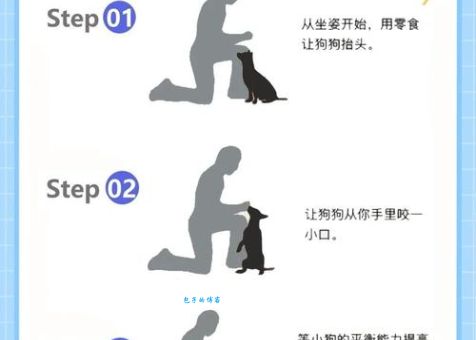 教你几招哈士奇怎么训练不闹腾