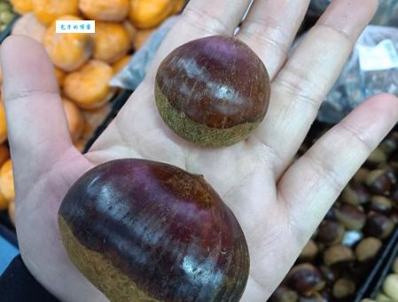 举个栗子什么意思 网络用语解析与使用场景