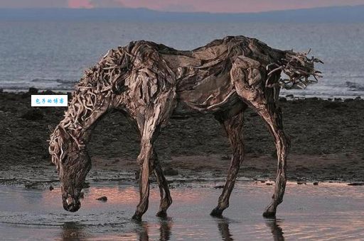 朽木生花打一动物你猜对了吗