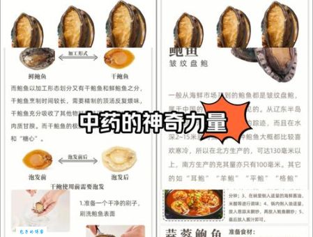 鲍鱼主要吃什么部位 吃对部位才不浪费美味