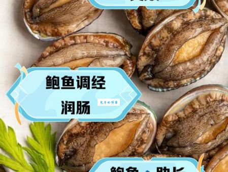 鲍鱼主要吃什么部位 吃对部位才不浪费美味