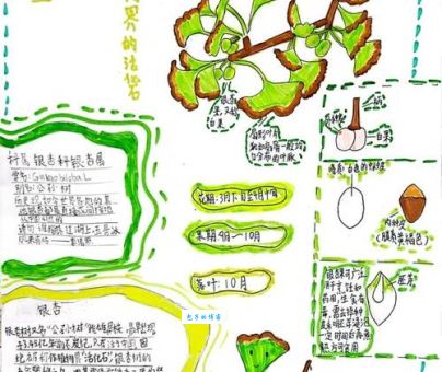 根目录是什么意思？通俗解释让你快速搞懂