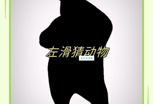 八斗之才打一正确动物怎么猜?掌握这个方法很简单