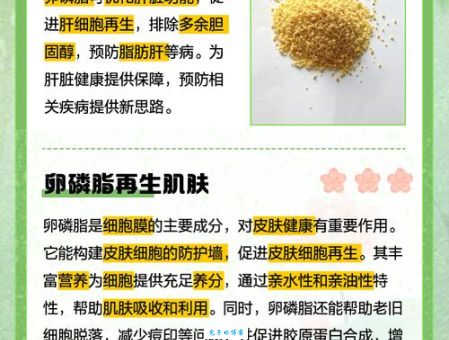 吃卵磷脂具体有什么好处？这几点作用太重要了！