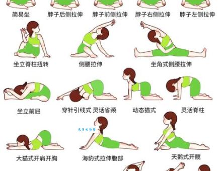 什么时候练瑜伽最好？早上还是晚上练效果更佳