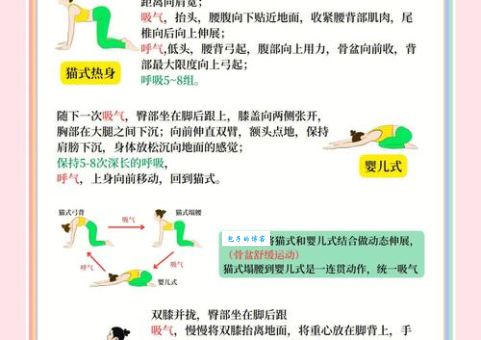 什么时候练瑜伽最好？早上还是晚上练效果更佳