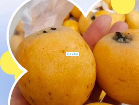 枇杷怎么保存可以放得更久?教你3种家常方法延长保鲜期!