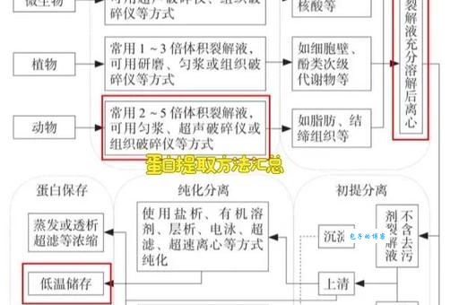 核是从哪里提炼出来的?揭秘核原料来源与提取过程