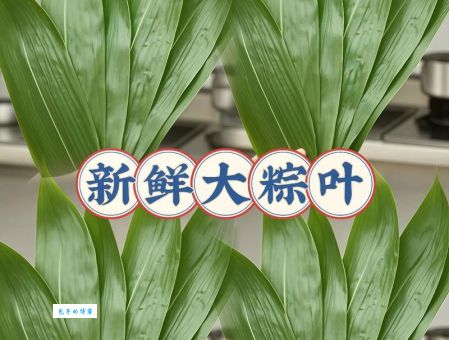 新鲜粽子叶怎么处理？跟着这个步骤操作零失败