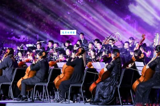 华东音乐学院是什么水平？业内人告诉你真实情况