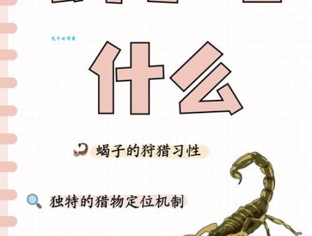 水蝎是什么意思？看完这个解释你就明白了！