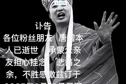 回转先生是什么意思