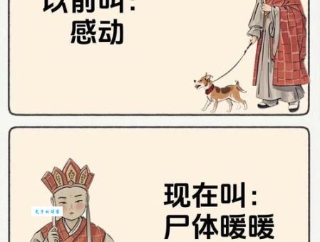 回转先生是什么意思