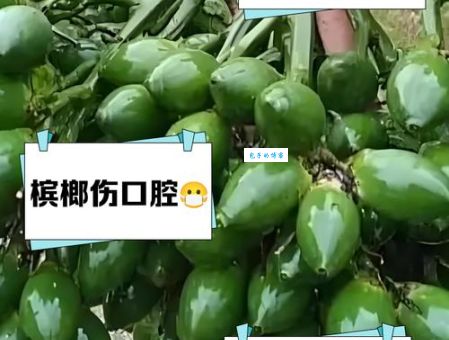 槟榔嚼多久吐掉比较好？这个时长对身体最健康