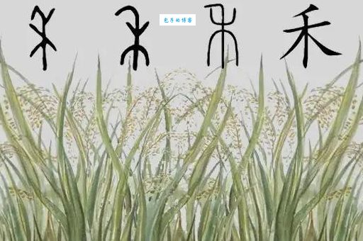 舞所遁形是什么意思出自哪里？了解这个词背后的故事