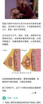乳房炸弹是什么意思怎么理解？3分钟带你搞明白