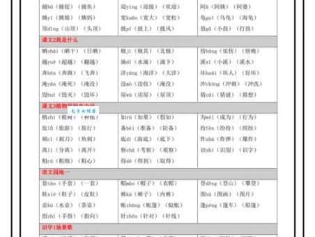 束的组词字组词有哪些？小学生必会词组整理！