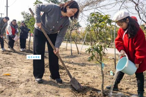 栽树是什么意思?不仅仅是种树还有这些讲究