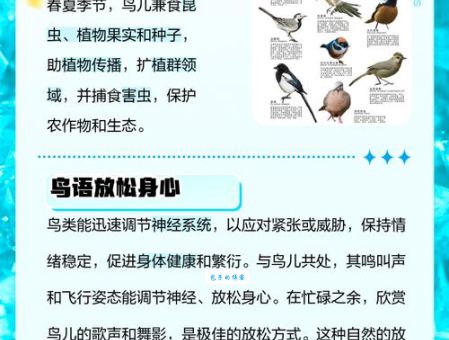 驭禽斋是什么意思？养鸟爱好者必知的文化常识