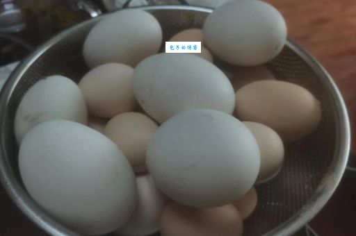 蛋奶工程是什么意思