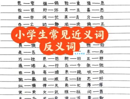 玩意儿是什么意思近义词？这些词和它意思差不多