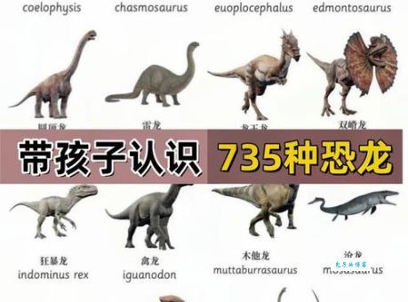 恐龙三兄弟是什么意思