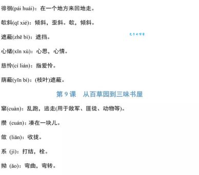 丽春是什么意思词?如何正确理解和使用这个词语