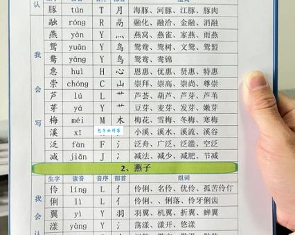 粉的组词字组词有哪些？小学生必会词组大全！