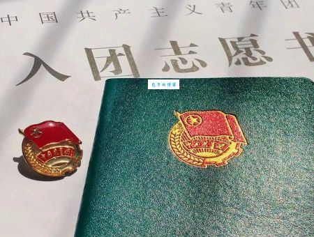 中国青年党是什么组织？带你快速了解它的主要活动