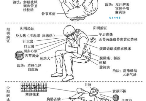 六条华是什么意思怎么用？五个场景教你正确使用