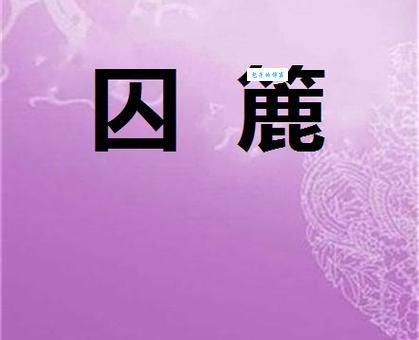 囚的组词字组词有哪些？看完这个你就全明白了