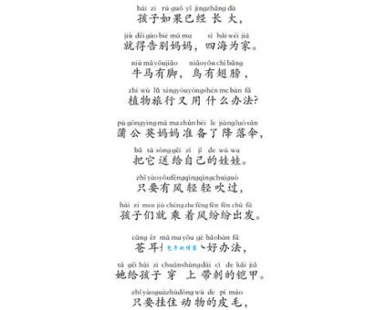 贝亓儿怎么读？正确发音和意思一次说清楚