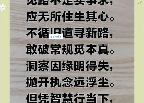 红尘极路是什么意思