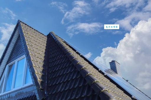 房顶上盖草打一字