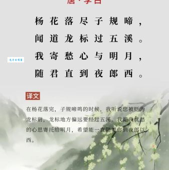 寂寂闻猿愁出自哪首诗?3个角度解析李白经典名句