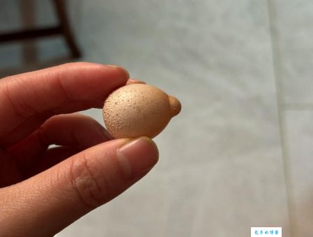 什么蛋又能走又能跳还会说话?没想到答案这么有趣