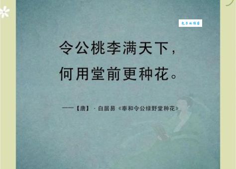 桃李满天下最初指的是谁?看完这个解释你就明白了!