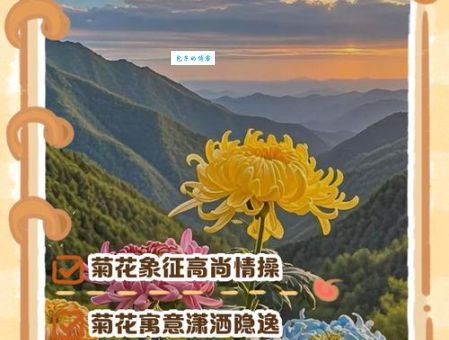 中秋赏菊打一成语怎么解释?原来花好月圆这么有意思