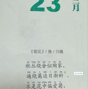 中秋赏菊打一成语怎么解释?原来花好月圆这么有意思