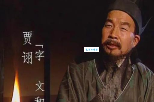 贾诩在曹魏时期都做了哪些重要贡献