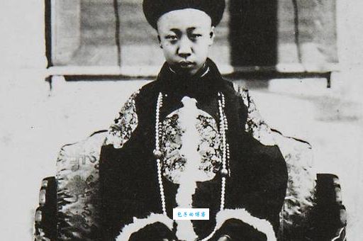 宣统叫什么名字末代皇帝的名字你了解多少