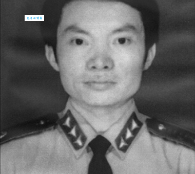 张林(中国金朝时期益都元帅)