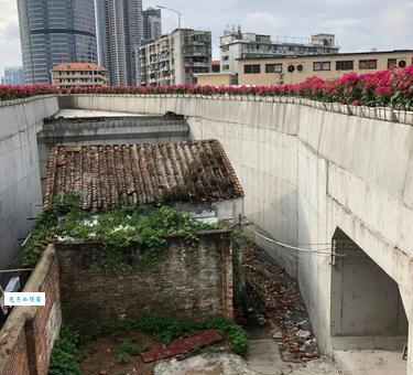 重庆最牛钉子户到底有多牛？专家分析它能坚持的奥秘！