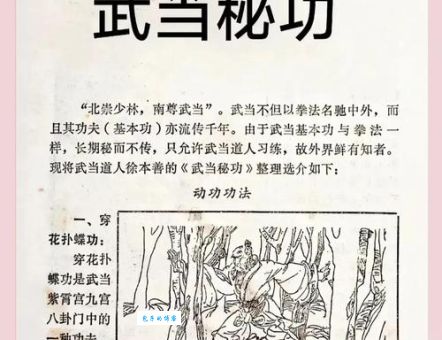 窦线娘的武功有多厉害？她的绝招是什么？