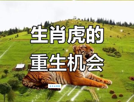 敲山震虎是什么生肖？3秒钟帮你快速找到答案！